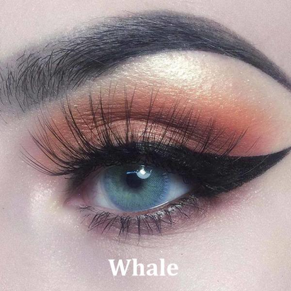 Whale Ημερήσιοι φακοί επαφής με χρώμα - Έγχρωμοι φακοί επαφής